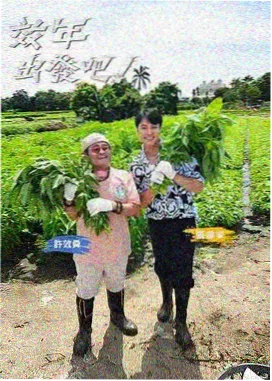 k8影视 奔跑吧 综艺推荐